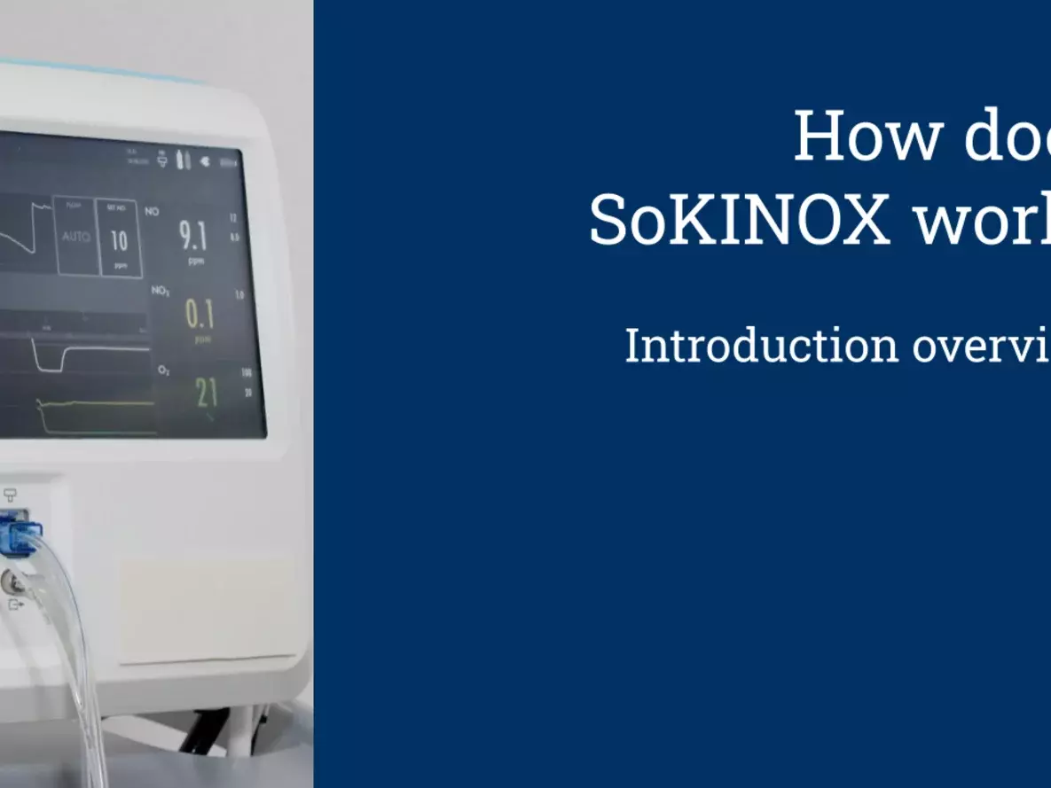 How does SoKINOX work_EN