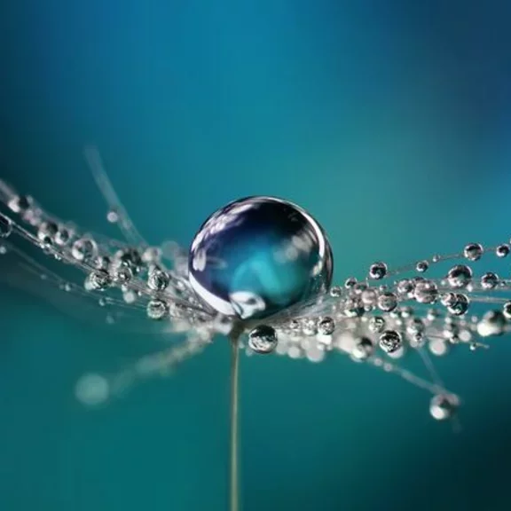 ACT for a sustainable future